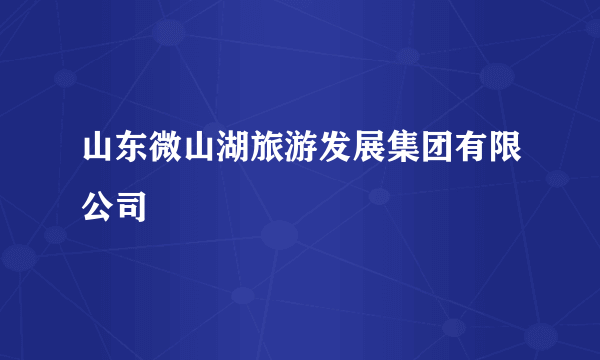 山东微山湖旅游发展集团有限公司