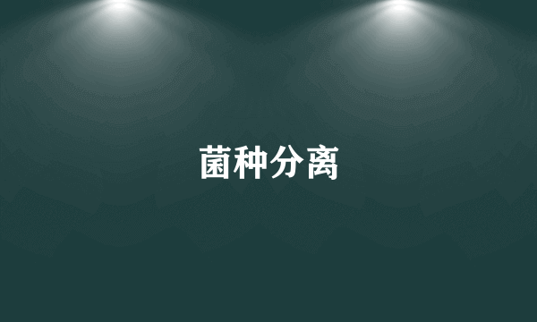 菌种分离