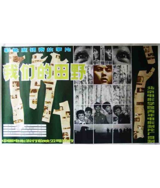 我们的田野（1983年谢飞执导电影）