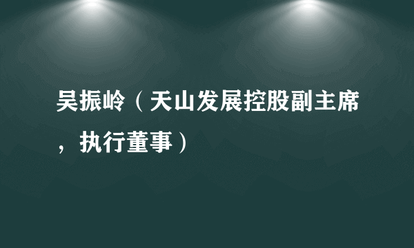 吴振岭（天山发展控股副主席，执行董事）