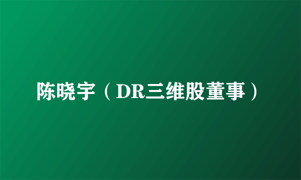 陈晓宇（DR三维股董事）