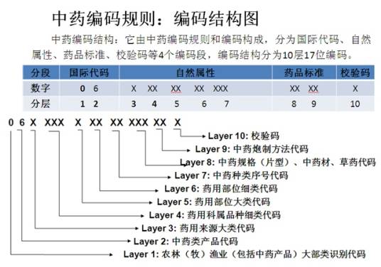 编码规则