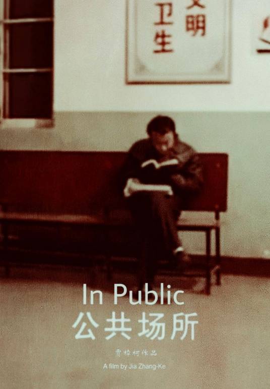 公共场所（2001年贾樟柯执导纪录片）
