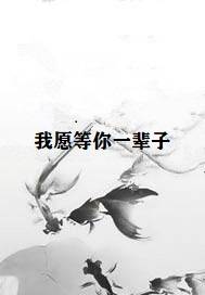 我愿等你一辈子
