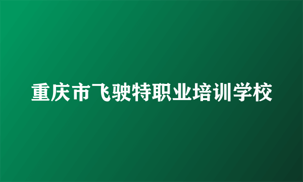 重庆市飞驶特职业培训学校
