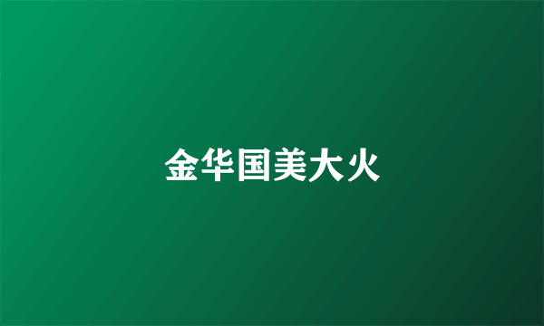 金华国美大火