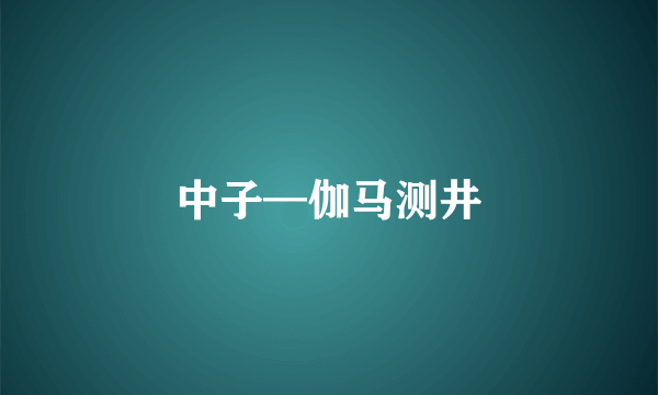 中子—伽马测井