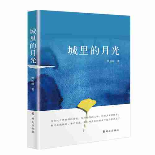 城里的月光（2017年群众出版社出版的图书）
