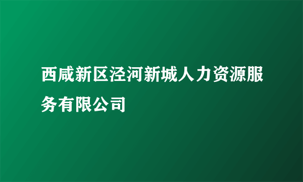 西咸新区泾河新城人力资源服务有限公司