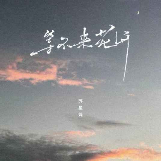 等不来花开（2022年7月1日苏星婕演唱的歌曲）