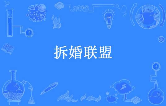 拆婚联盟（流云断所著小说）