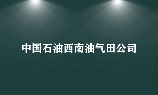 中国石油西南油气田公司