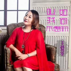 烟雨红尘（王爱华演唱歌曲）