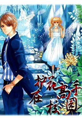 护花高手在校园（常笑创作的网络小说）