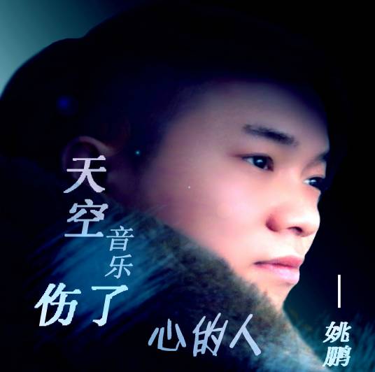 伤了心的人（姚鹏演唱的歌曲）