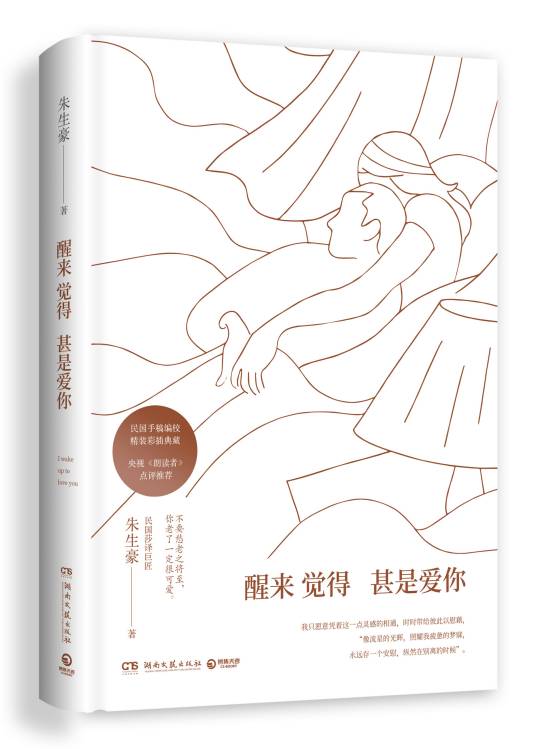 醒来觉得甚是爱你（2019年湖南文艺出版社出版的图书）