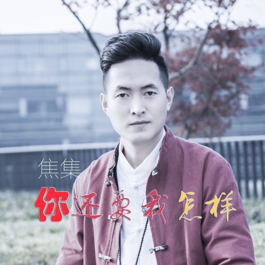 你还要我怎样（焦集演唱的歌曲）