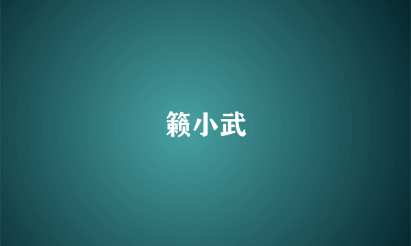 籁小武