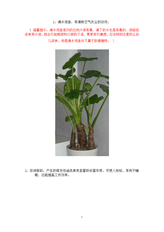 常见室内花卉