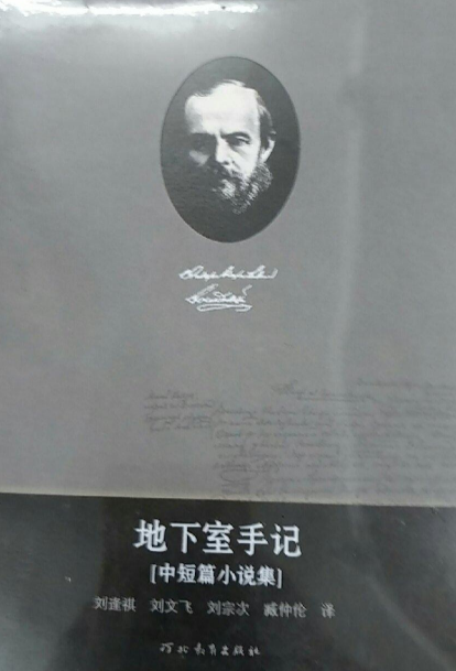 地下室手记（上）