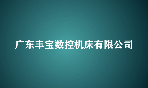 广东丰宝数控机床有限公司