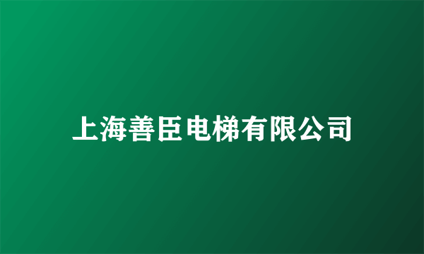 上海善臣电梯有限公司