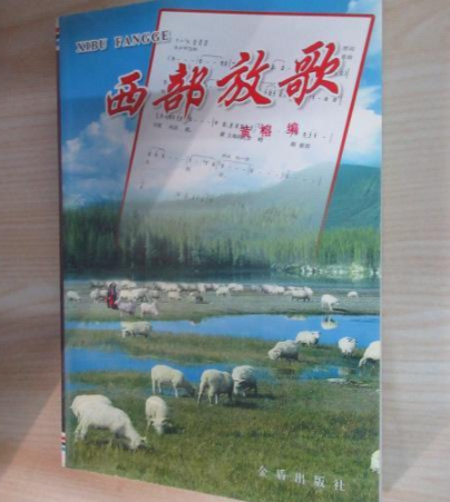 西部放歌（2012年金盾出版社出版的图书）