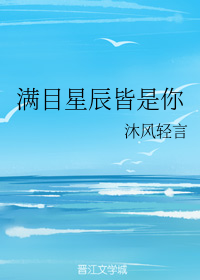 满目星辰皆是你（沐风轻言创作的网络小说）