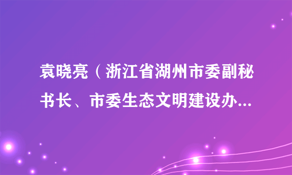 袁晓亮（浙江省湖州市委副秘书长、市委生态文明建设办公室第一副主任）