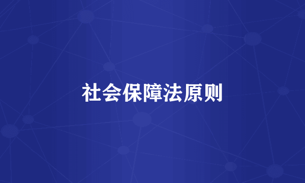 社会保障法原则