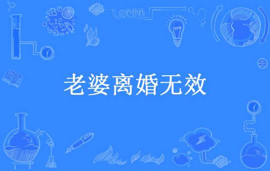 老婆离婚无效（苏婉年所著小说）