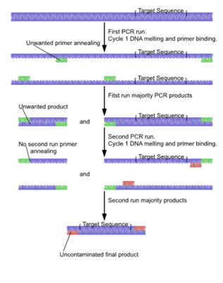 巢式PCR