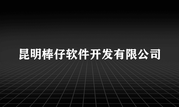 昆明棒仔软件开发有限公司