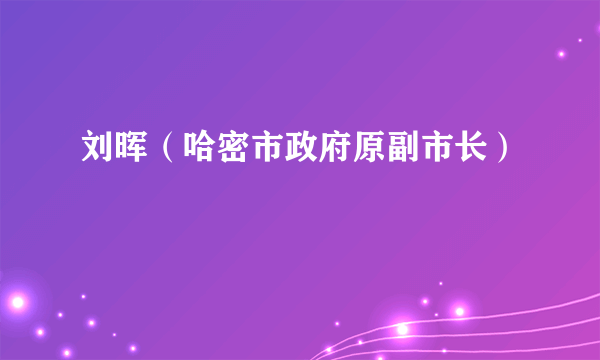 刘晖（哈密市政府原副市长）