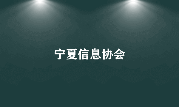 宁夏信息协会