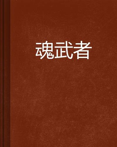 魂武者（暴躁冰块著小说）