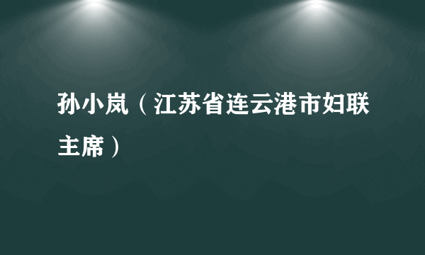 孙小岚（江苏省连云港市妇联主席）