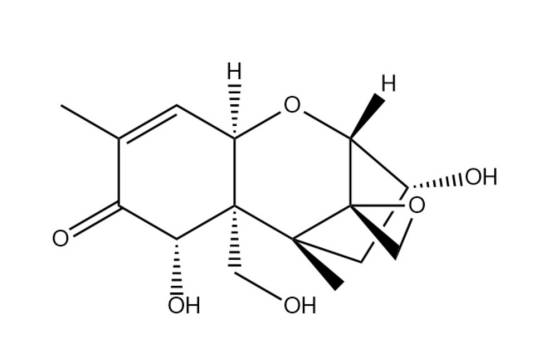 呕吐毒素