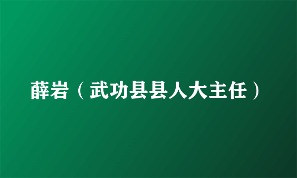 薛岩（武功县县人大主任）