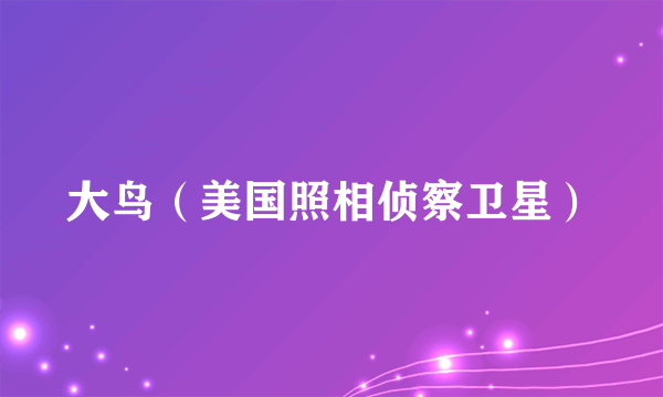 大鸟（美国照相侦察卫星）