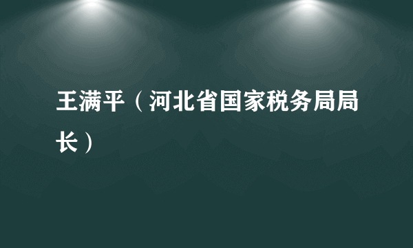 王满平（河北省国家税务局局长）