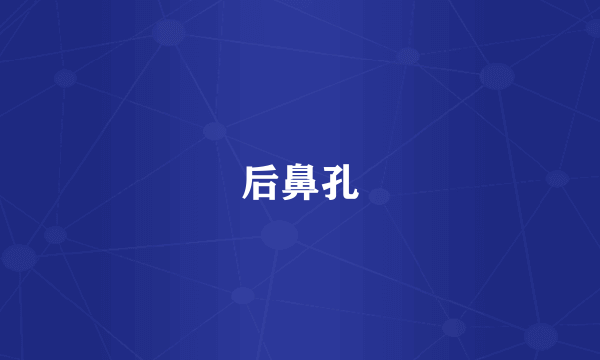 后鼻孔