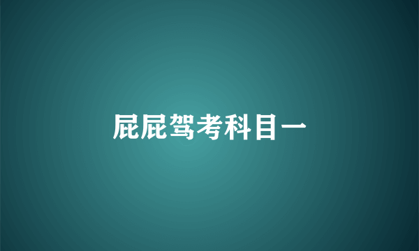 屁屁驾考科目一