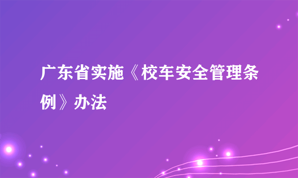 广东省实施《校车安全管理条例》办法