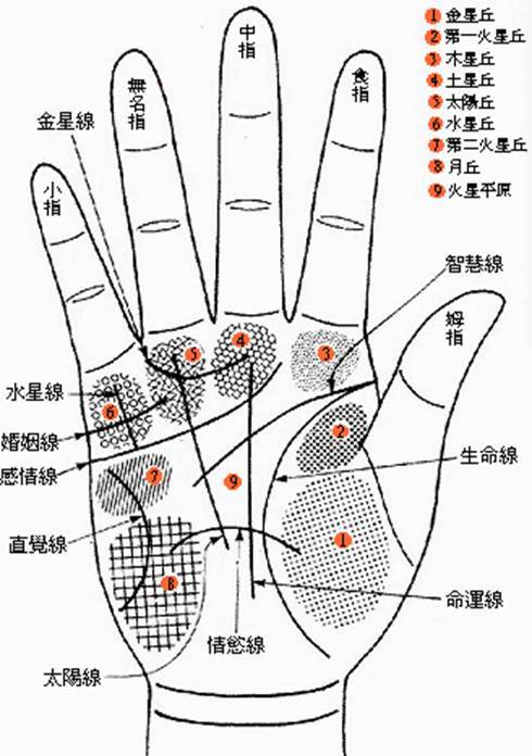 算命婚姻