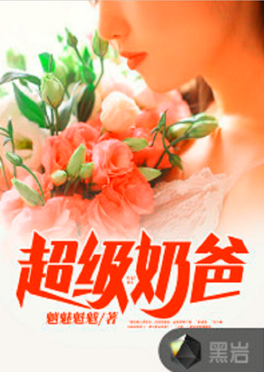 超级奶爸（黑岩网小说）
