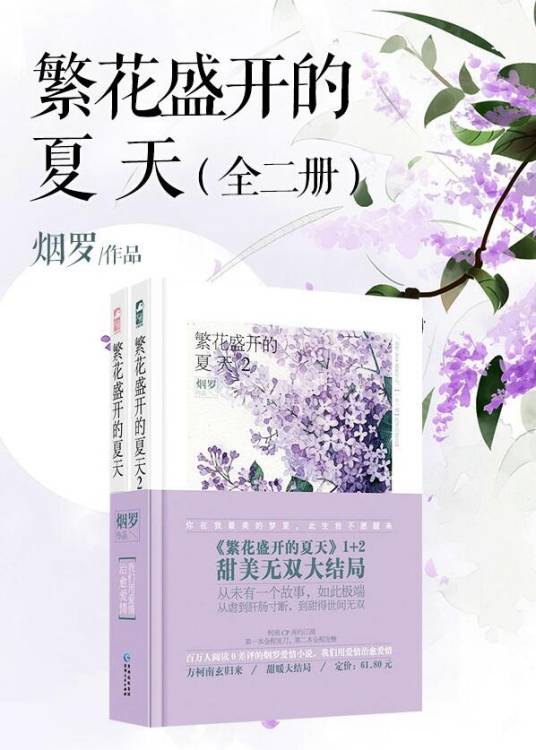 繁花盛开的夏天（全二册）