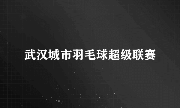 武汉城市羽毛球超级联赛
