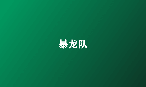 暴龙队
