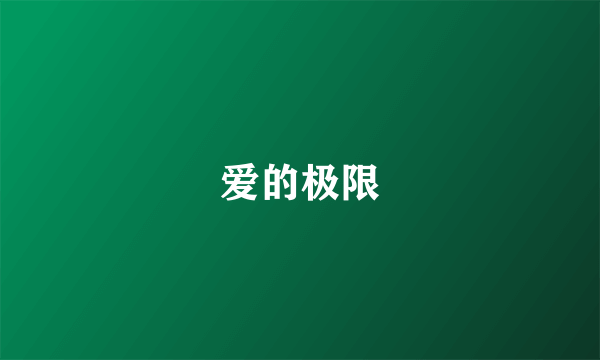 爱的极限